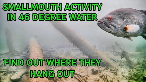 Smallmouth Thumbnail.jpg