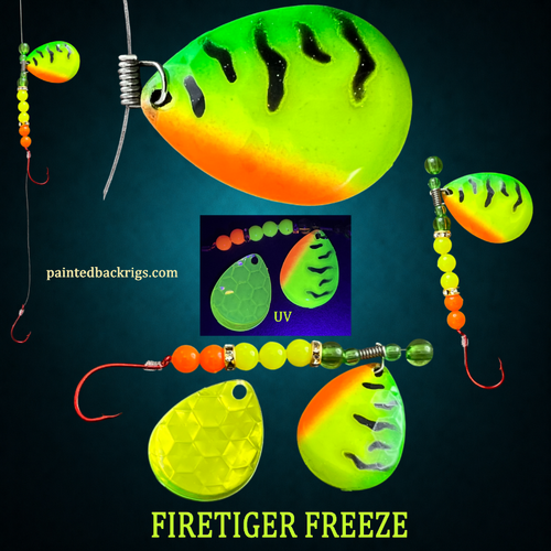2026 firetiger freeze.png