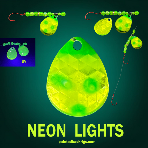 2026 neon lights.png