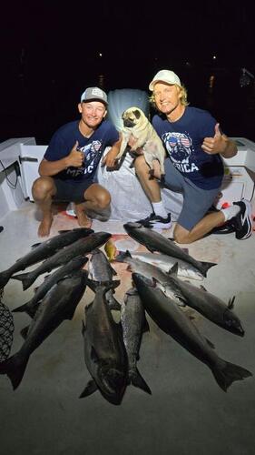 IMG_20260704_000340_721x1280.jpg