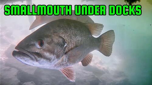 Smallmouth Docks Thumbnail.jpg