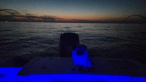 20260828_211741.jpg
