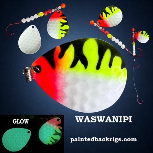 2026 waswanipi.png