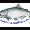 Hoosier_Steelheader